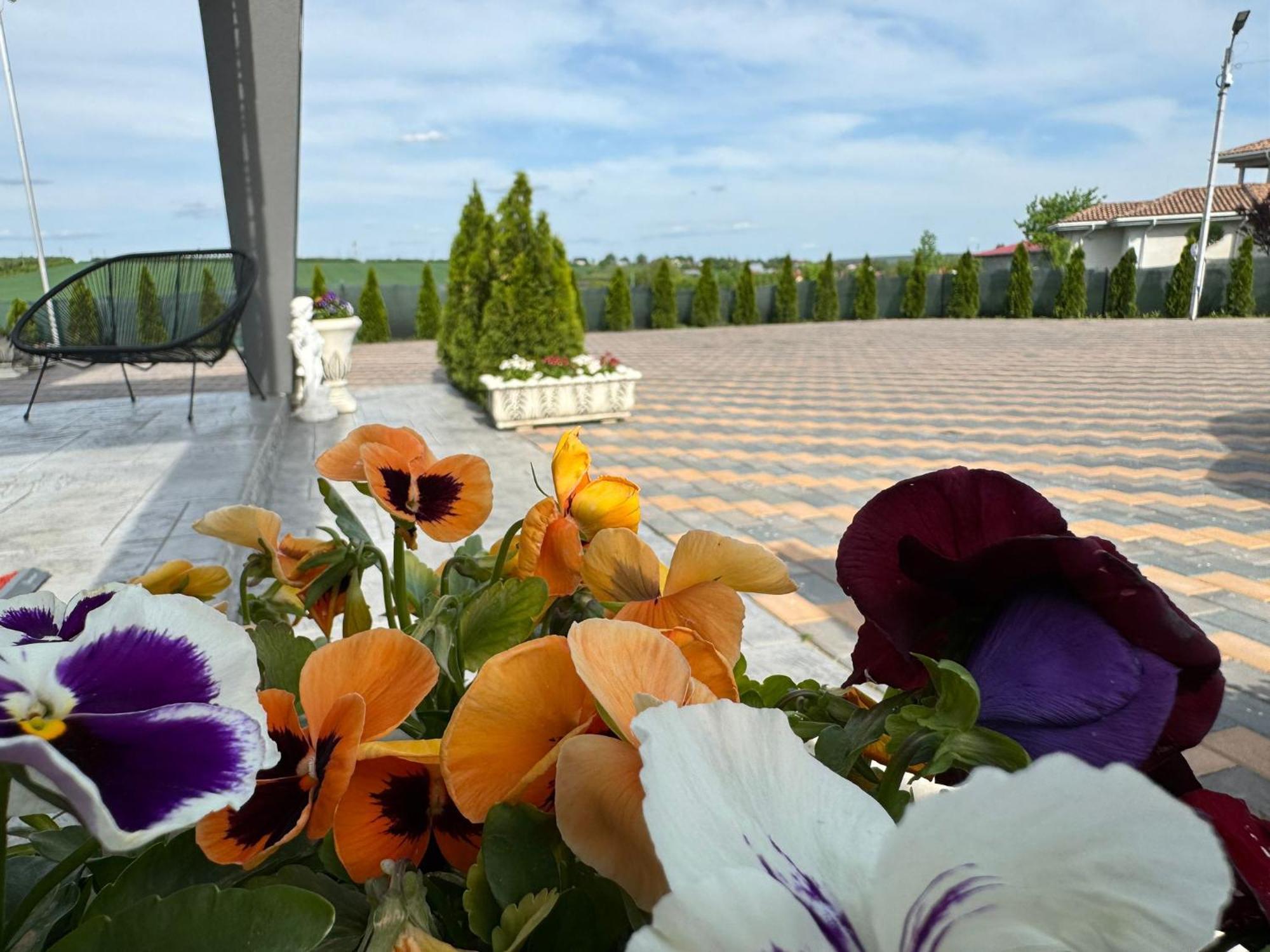 Stef Rooms Tirgu Frumos Екстер'єр фото
