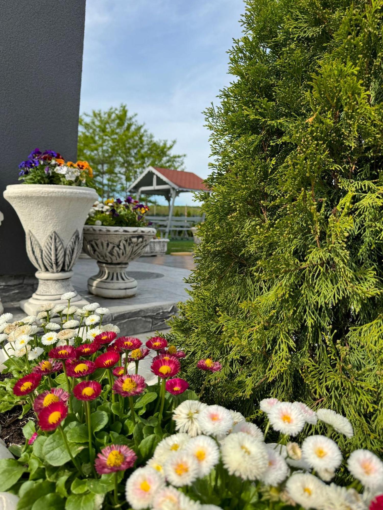 Stef Rooms Tirgu Frumos Екстер'єр фото
